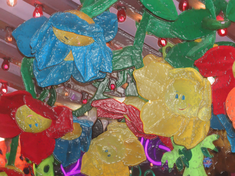 CarnieDollFlowers.jpg - 323399 Bytes